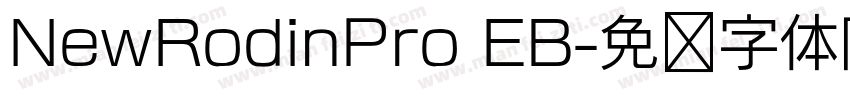 NewRodinPro EB字体转换